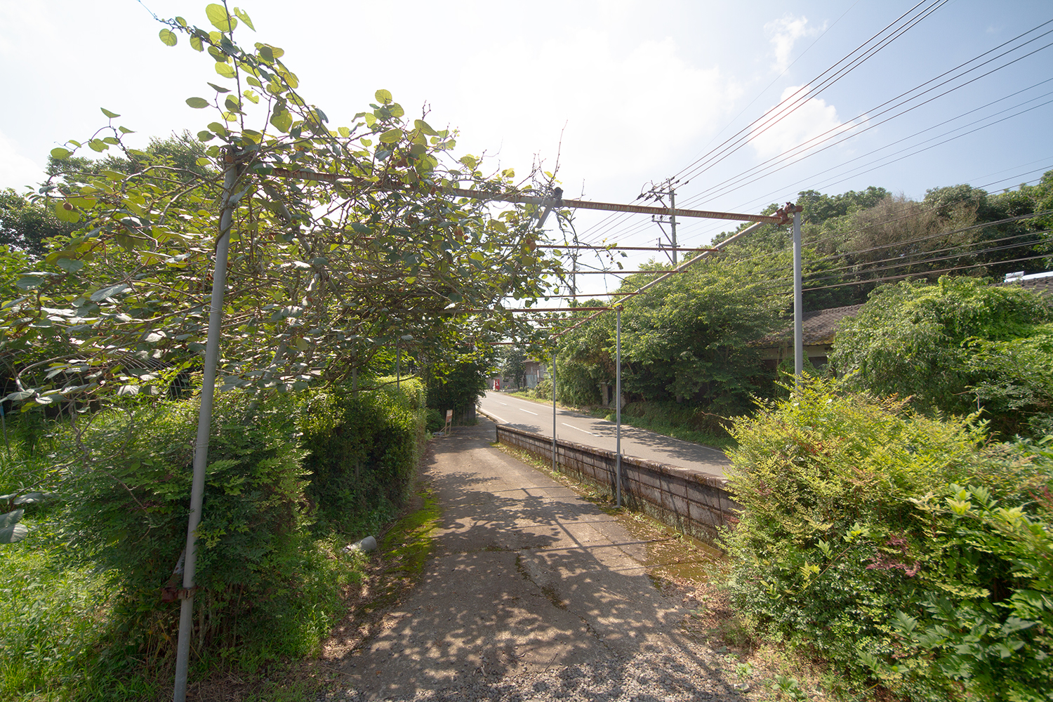 都城の古民家空き家