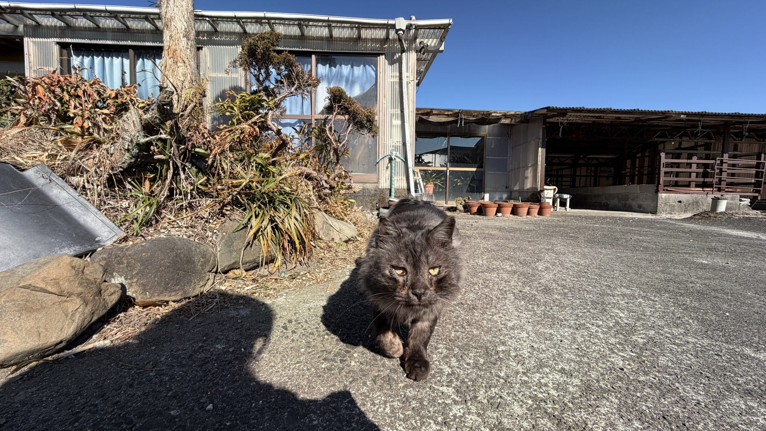 【高城町】敷地392坪のゆとり。アイデアが広がる平屋暮らし。
