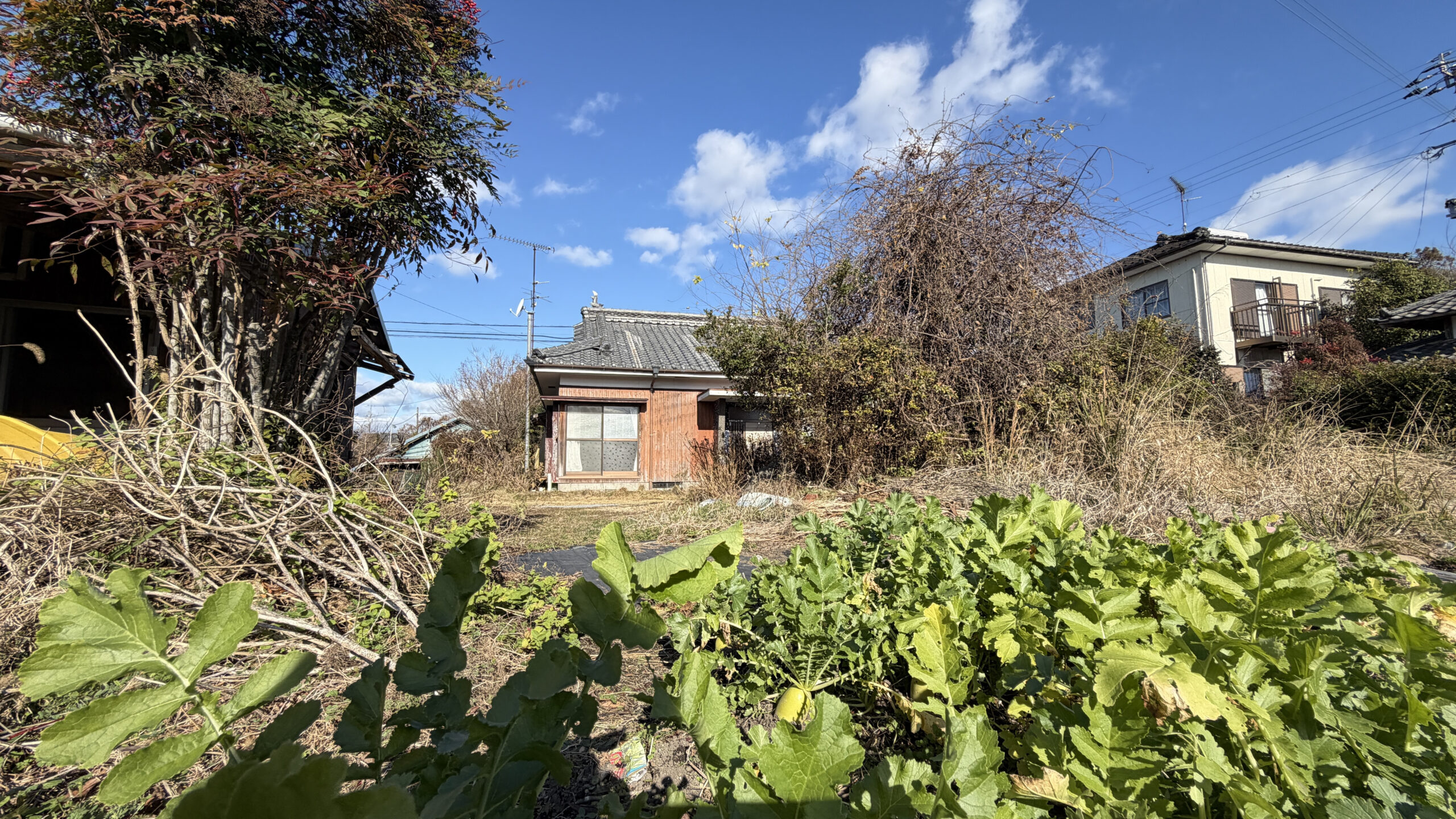 【丸谷町】自然豊かな環境で深呼吸！ゆったり敷地と広い駐車スペースが自慢の家