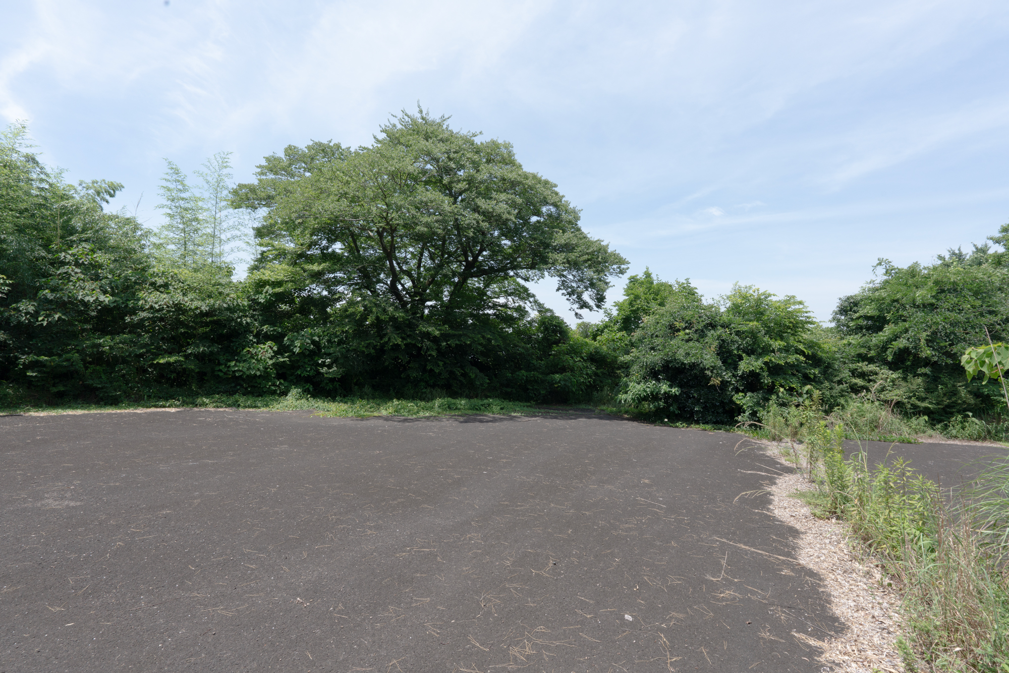 【高城町】家の中に大広間と宴会場！？3,000坪超！の敷地に建つ12LDKの巨大空き家が史上最大の豪華さだった！