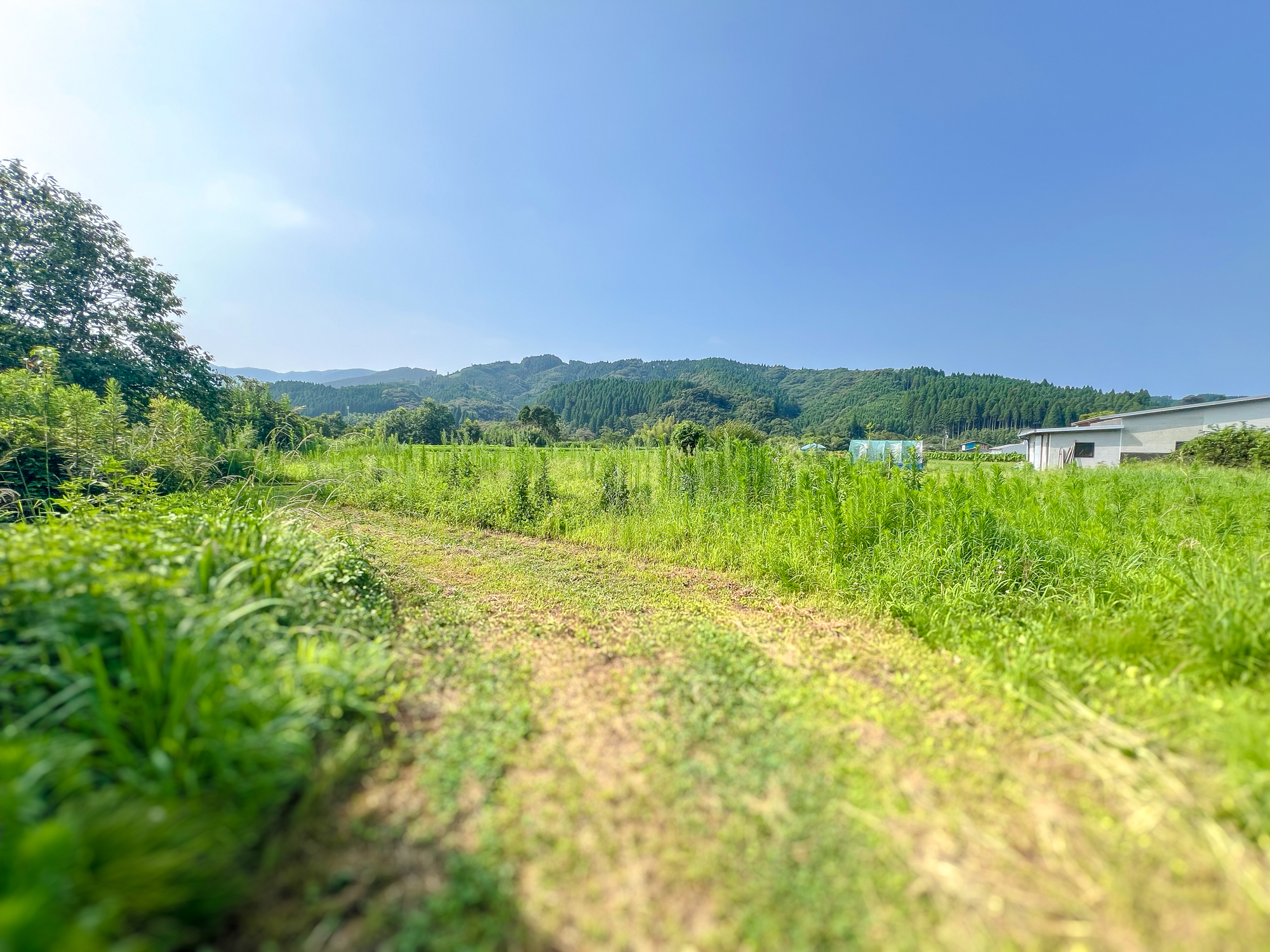 【三股町】