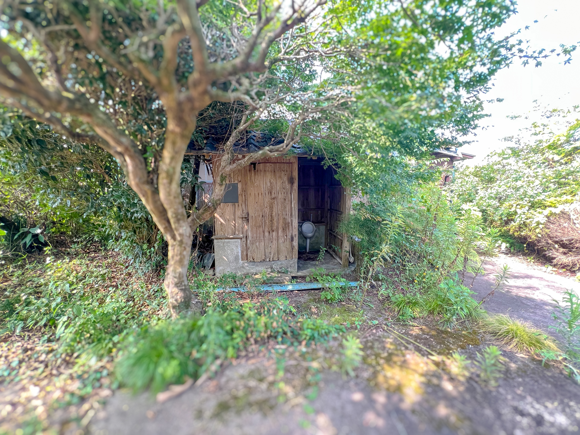 【三股町】