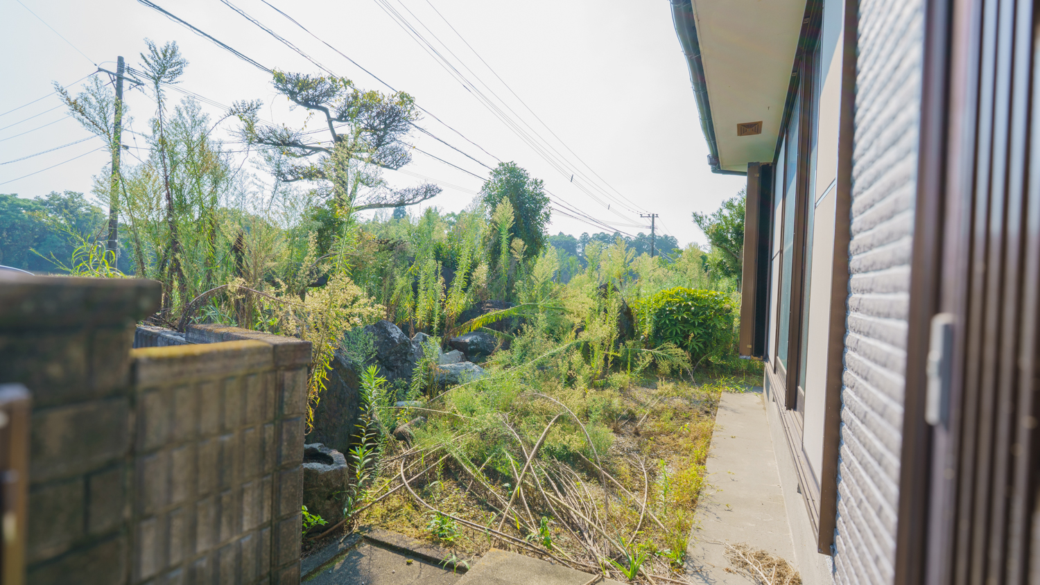 【平塚町】陽だまりの広縁でお茶時間。庭と暮らす151坪の空き家
