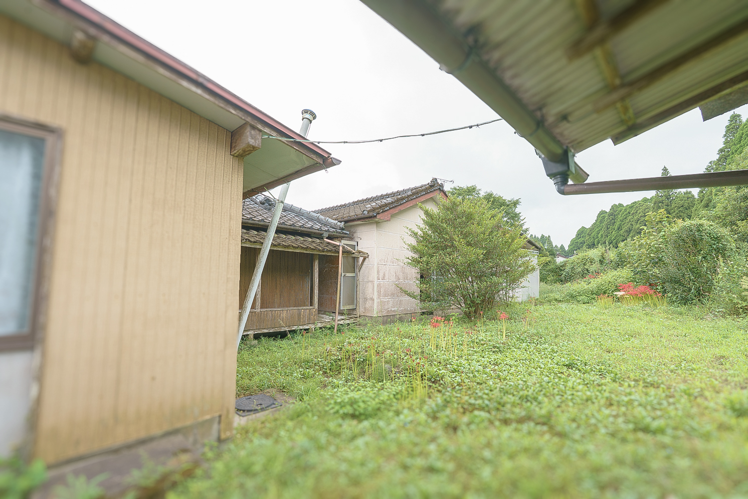 【財部町】コスパ最高！DIYが楽しめる庭付き空き家