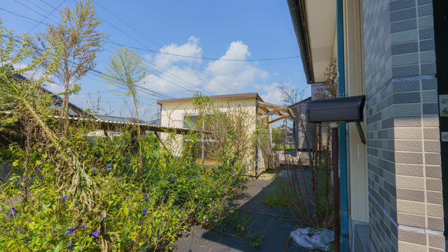 【金田町】納戸と大型収納で家中スッキリ！光あふれる2階建て4SLDK