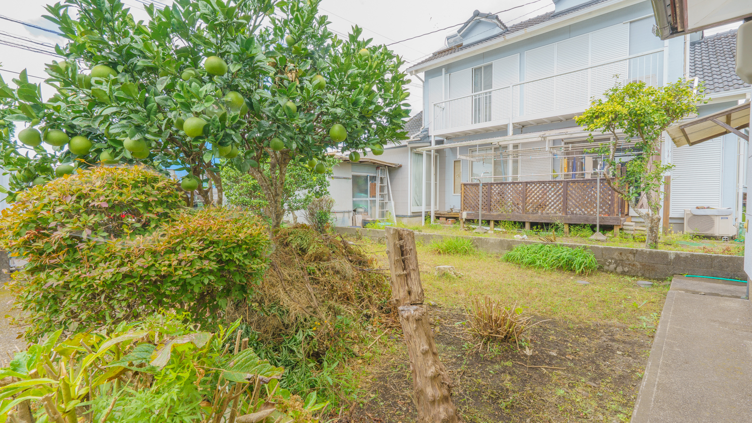 【早水町】陽だまり広縁と庭を愉しむ。敷地150坪に佇む平屋5LDK